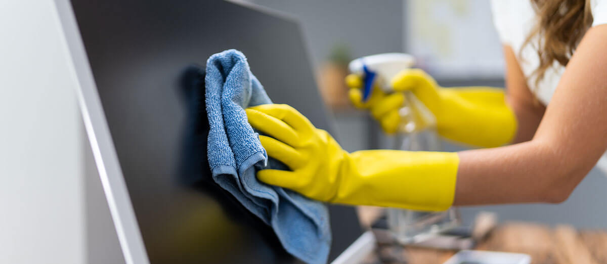 Professional IT Cleaning services